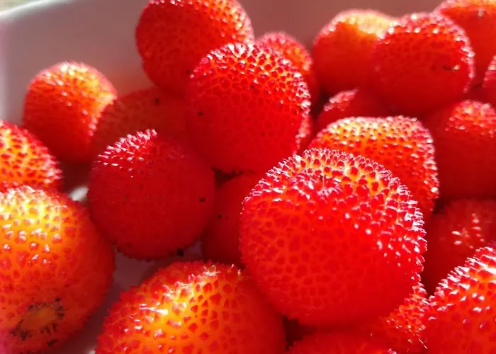 Il Tratturo Κατάλυμα σε φάρμα *